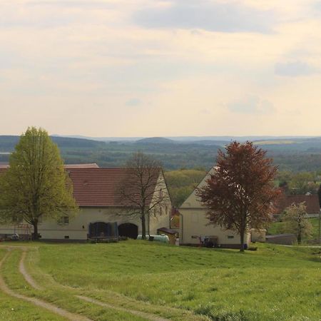 Ferienhof Wiesenblick 皮尔纳 外观 照片